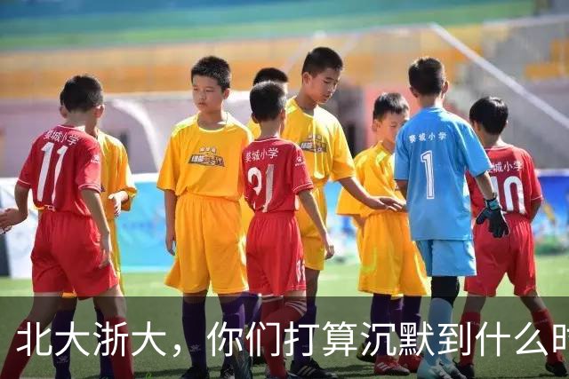 北大浙大，你们打算沉默到什么时候？